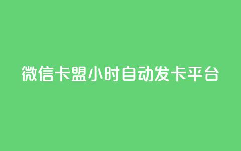 微信卡盟24小时自动发卡平台,云小店24小时下单平台 - 拼多多自动下单脚本 拼多多砍一刀代砍 第1张 微信卡盟24小时自动发卡平台,云小店24小时下单平台 - 拼多多自动下单脚本 拼多多砍一刀代砍 第1张