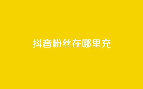 抖音粉丝在哪里充 - 如何在抖音平台给粉丝充值的详细指南! 第1张 抖音粉丝在哪里充 - 如何在抖音平台给粉丝充值的详细指南! 第1张