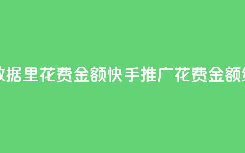 快手推广消耗数据里花费金额 - 快手推广花费金额统计数据。 第1张 快手推广消耗数据里花费金额 - 快手推广花费金额统计数据。 第1张