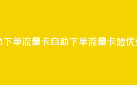 卡盟自助下单流量卡(自助下单流量卡盟优势) 第1张