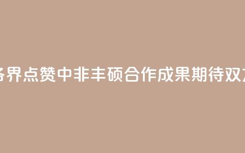 【中国那些事儿】非洲各界点赞中非丰硕合作成果 期待双方深化合作、携手共赢  第1张