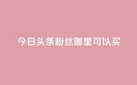 今日头条粉丝哪里可以买 - 今日头条粉丝购买渠道探秘~ 第1张 今日头条粉丝哪里可以买 - 今日头条粉丝购买渠道探秘~ 第1张