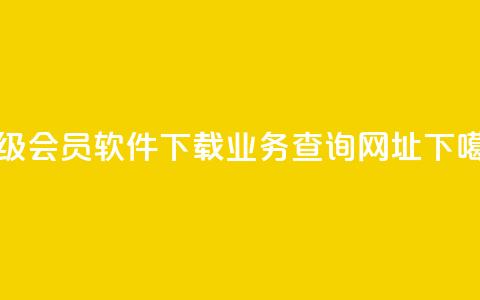 qq超级会员软件下载 - qq业务查询网址 第1张 qq超级会员软件下载 - qq业务查询网址 第1张