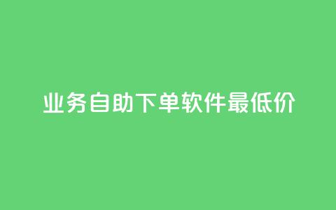 ks业务自助下单软件最低价 - 最低价款KS业务自助下单软件~  第1张