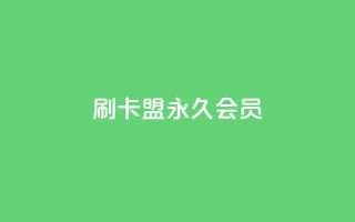 刷卡盟qq永久会员 - qq24小时自助下单全网最低价
