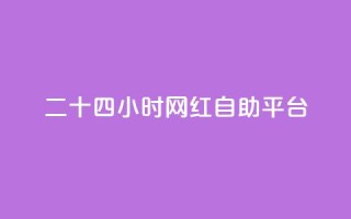 二十四小时网红自助平台 - 全天候自助平台打造网红风潮！