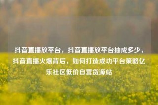 抖音直播放平台，抖音直播放平台抽成多少，抖音直播火爆背后，如何打造成功平台策略亿乐社区低价自营货源站