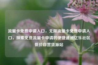 流量卡免费申请入口，无限流量卡免费申请入口，探索免费流量卡申请的便捷通道亿乐社区低价自营货源站