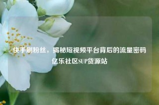 快手刷粉丝，揭秘短视频平台背后的流量密码亿乐社区SUP货源站