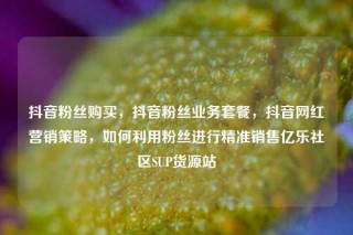 抖音粉丝购买，抖音粉丝业务套餐，抖音网红营销策略，如何利用粉丝进行精准销售亿乐社区SUP货源站