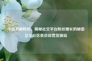 小红书刷粉丝，揭秘社交平台粉丝增长的秘密亿乐社区低价自营货源站