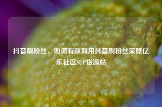 抖音刷粉丝，如何有效利用抖音刷粉丝策略亿乐社区SUP货源站