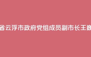 广东省云浮市政府党组成员、副市长王巍被查