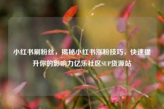 小红书刷粉丝，揭秘小红书涨粉技巧，快速提升你的影响力亿乐社区SUP货源站