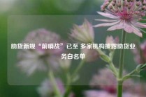 助贷新规“前哨战”已至 多家机构披露助贷业务白名单