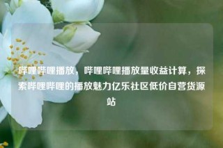 哔哩哔哩播放，哔哩哔哩播放量收益计算，探索哔哩哔哩的播放魅力亿乐社区低价自营货源站
