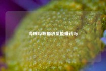 哔哩哔哩播放量能赚钱吗