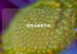时空云联系方式