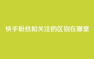 快手粉丝和关注的区别在哪里 - 快手粉丝与关注的区别解析！