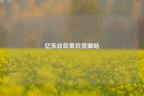 亿乐社区低价货源站