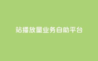 b站播放量业务自助平台 - B站自助平台助力视频播放量提升!
