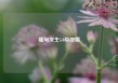 缅甸发生5.0级地震