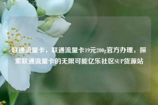 联通流量卡，联通流量卡19元200g官方办理，探索联通流量卡的无限可能亿乐社区SUP货源站