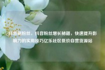抖音刷粉丝，抖音粉丝增长秘籍，快速提升影响力的实用技巧亿乐社区低价自营货源站
