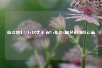 首次站上10万亿大关 银行板块A股总市值创新高