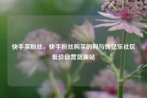 快手买粉丝，快手粉丝购买的利与弊亿乐社区低价自营货源站