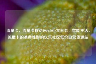 流量卡，流量卡移动19元200g大王卡，智能生活，流量卡的革命性影响亿乐社区低价自营货源站