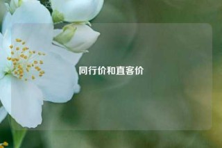 同行价和直客价