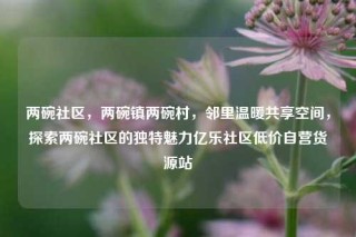 两碗社区，两碗镇两碗村，邻里温暖共享空间，探索两碗社区的独特魅力亿乐社区低价自营货源站