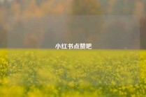小红书点赞吧