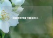 国内期货夜盘开盘涨跌不一