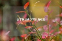 快手粉丝多少可以有收益