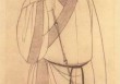 苏轼“胡为适南海”？