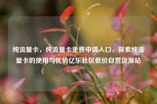 纯流量卡，纯流量卡免费申请入口，探索纯流量卡的使用与优势亿乐社区低价自营货源站