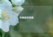 中国游世界游