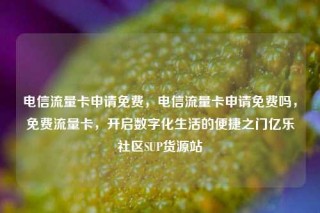 电信流量卡申请免费，电信流量卡申请免费吗，免费流量卡，开启数字化生活的便捷之门亿乐社区SUP货源站