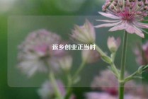 返乡创业正当时