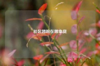 社区团购在哪拿货