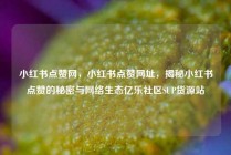 小红书点赞网，小红书点赞网址，揭秘小红书点赞的秘密与网络生态亿乐社区SUP货源站