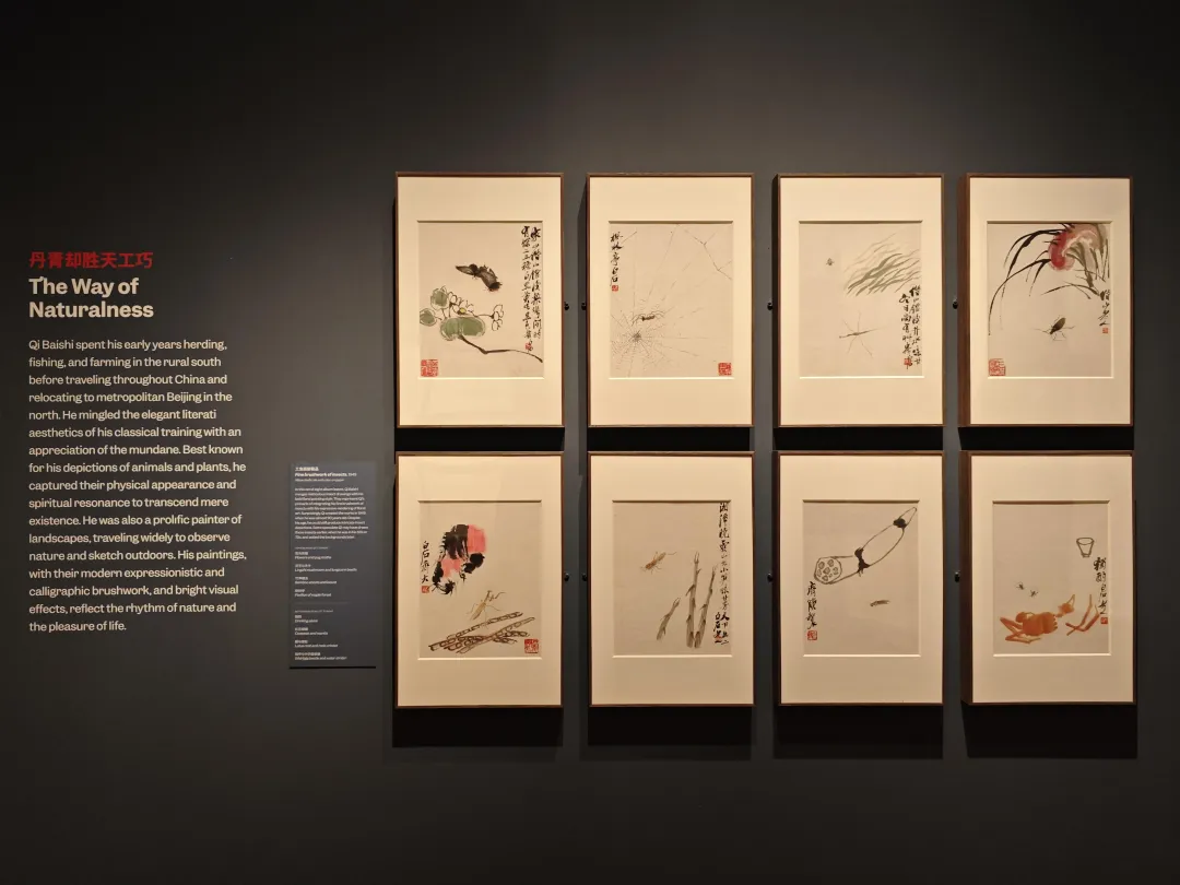 齐白石精品在波士顿展出，“白石画屋”呈现水墨挥洒  第9张