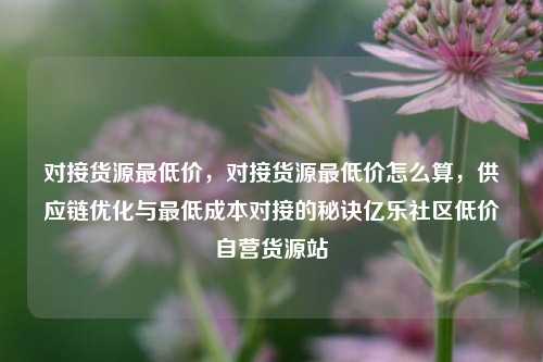 对接货源最低价	，对接货源最低价怎么算，供应链优化与最低成本对接的秘诀亿乐社区低价自营货源站  第1张