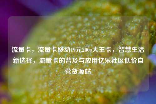 流量卡，流量卡移动19元200g大王卡	，智慧生活新选择，流量卡的普及与应用亿乐社区低价自营货源站  第1张
