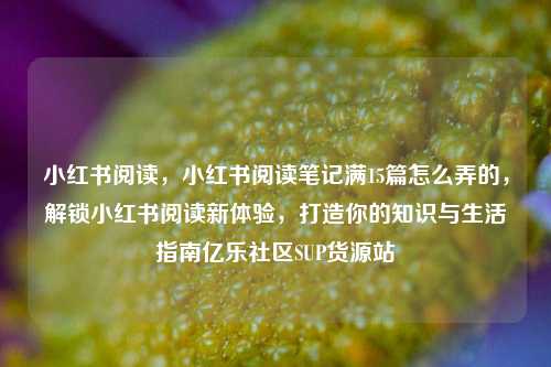小红书阅读，小红书阅读笔记满15篇怎么弄的	，解锁小红书阅读新体验，打造你的知识与生活指南亿乐社区SUP货源站  第1张