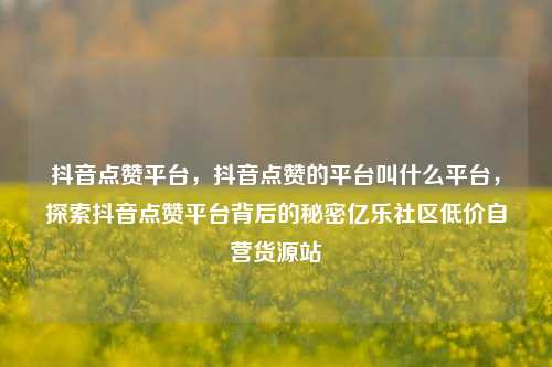 抖音点赞平台，抖音点赞的平台叫什么平台，探索抖音点赞平台背后的秘密亿乐社区低价自营货源站  第1张