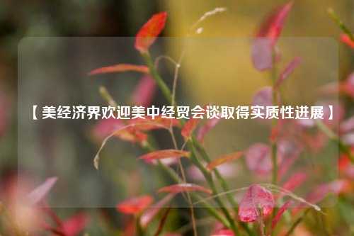 【美经济界欢迎美中经贸会谈取得实质性进展】  第1张