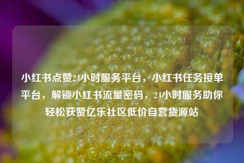 小红书点赞24小时服务平台，小红书任务接单平台，解锁小红书流量密码	，24小时服务助你轻松获赞亿乐社区低价自营货源站  第1张